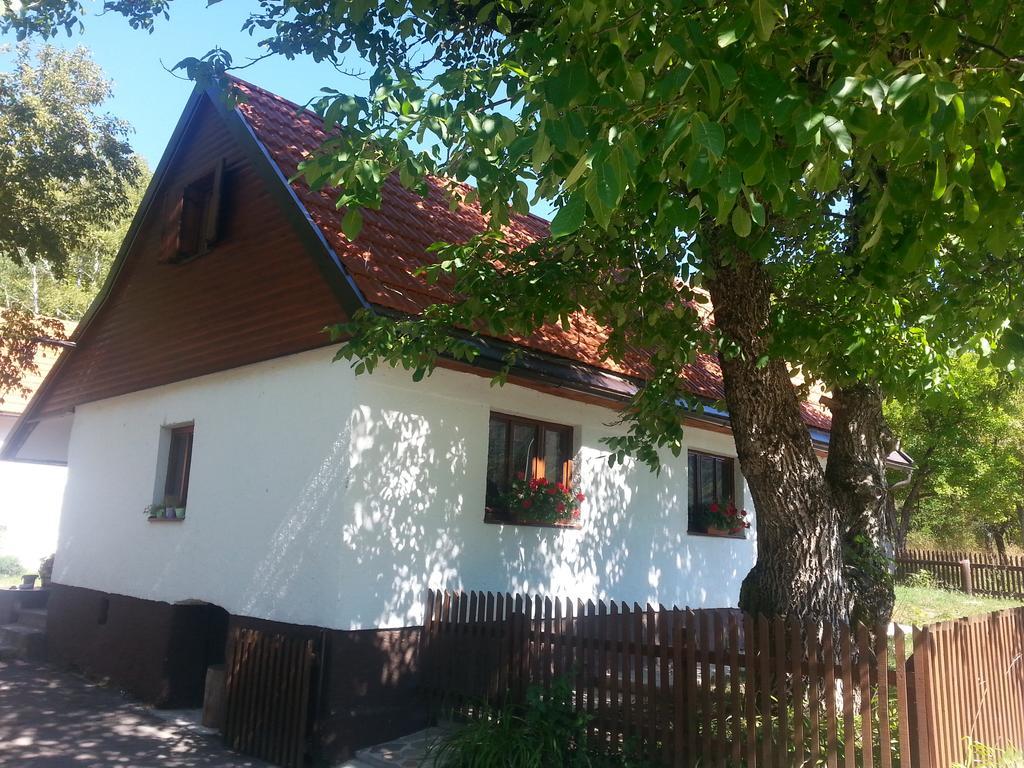Holiday Home Rizvan City Brusane Ngoại thất bức ảnh
